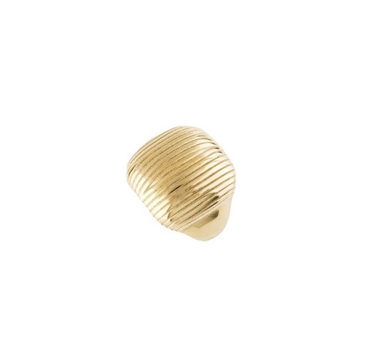 Γυναικείο ρυθμιζόμενο δαχτυλίδι ατσάλινο Χρυσό Francy